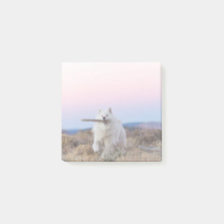 Gestionnaire de succursales - Notes de post-it 3 p