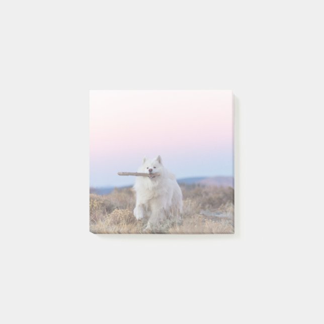 Gestionnaire de succursales - Notes de post-it 3 p (Devant)