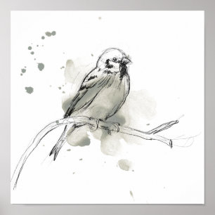 Gestural Bird Study Poster