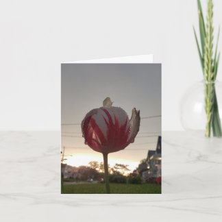 Get A Real Job, Hippie Card