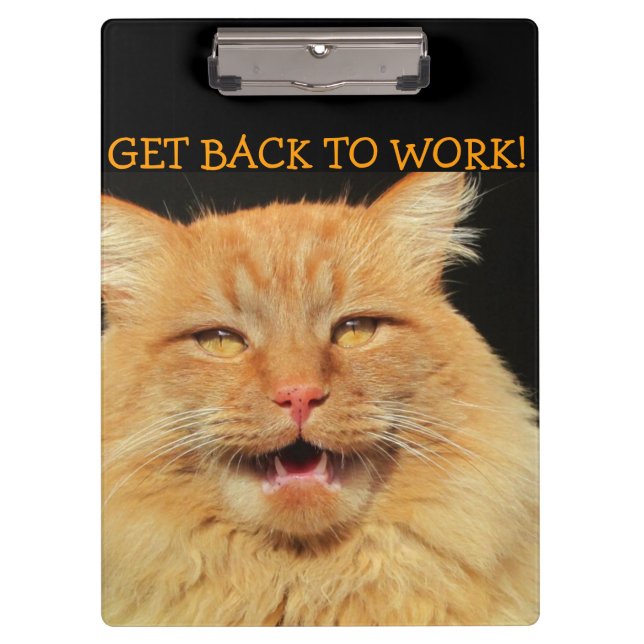 Get Back to Work Boss Cat Clipboard (Front)