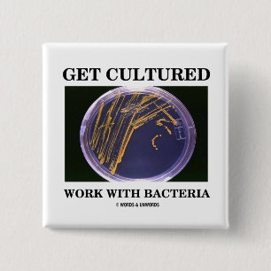 Get Cultured Work With Bacteria (Agar Plate) 2 Inch Square Button