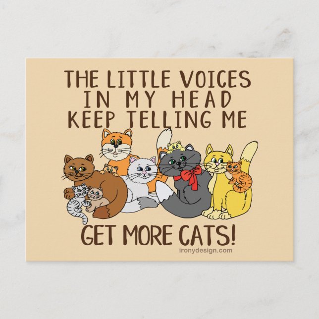 Get More Cats Funny Saying Postcard (Front)