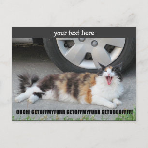 Get Off My Fur Screaming Calico Postcard