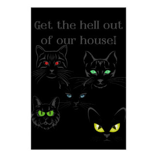 Get Out! Funny Cat Poster