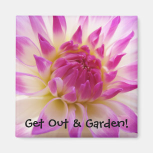Get Out & Garden! magnet White Pink Dahlia