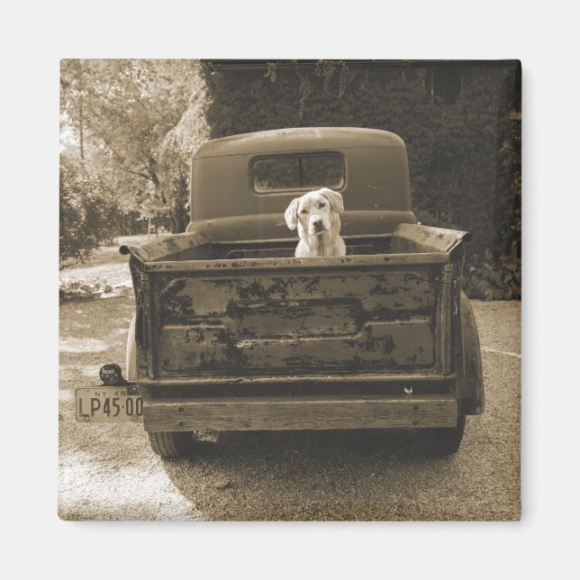 Get Out of Dodge - Dog Photograph Magnet (Front)