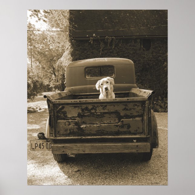 Get Out of Dodge - Dog Photograph Poster (Front)