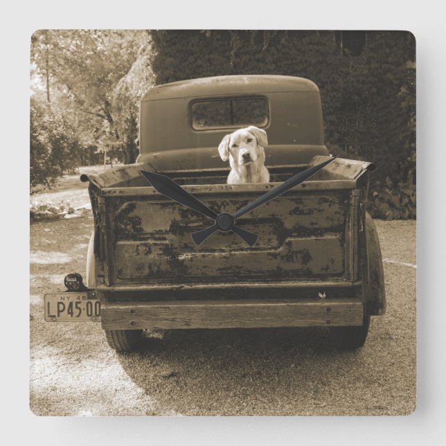 Get Out of Dodge - Dog Photograph Square Wall Clock (Front)