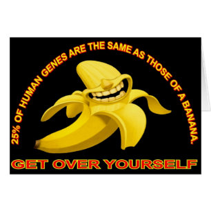 Get Over Yourself, card