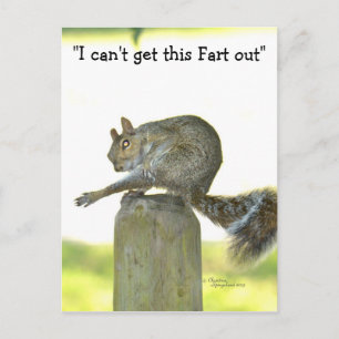 Get this fart out Funny Squirrel Postcard