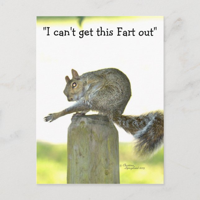 Get this fart out Funny Squirrel Postcard (Front)