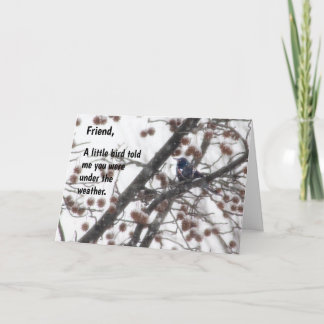 Get well, a little bird told me you were under ... card