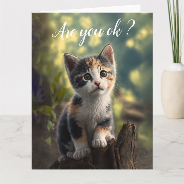 Get Well Adorable Calico Kitten Card (Front)