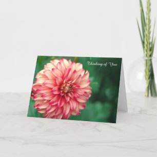Get Well Card