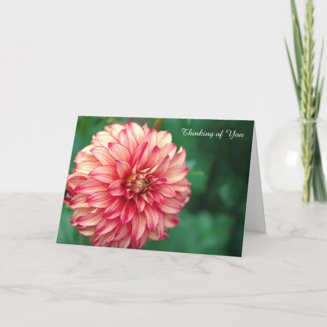 Get Well Card (Front)