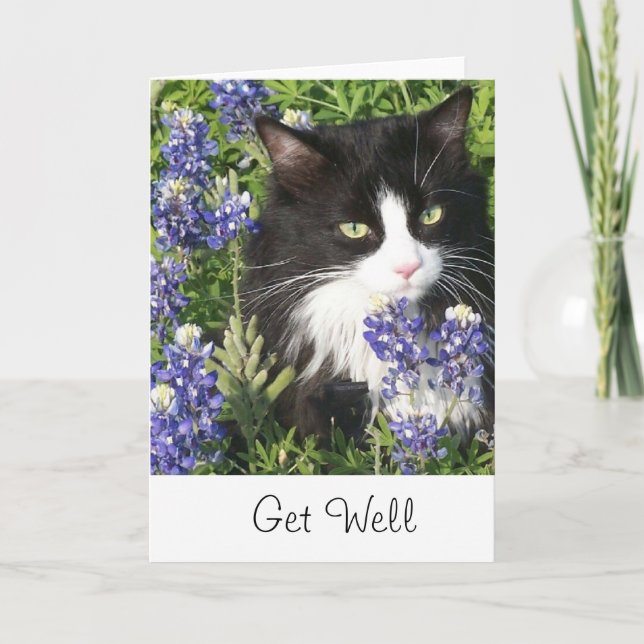 Get Well Card Tuxedo Cat in Texas Bluebonnet (Front)