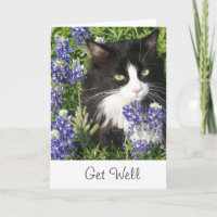 Get Well Card Tuxedo Cat in Texas Bluebonnet