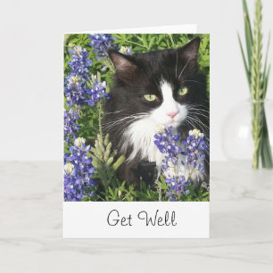 Get Well Card Tuxedo Cat in Texas Bluebonnet