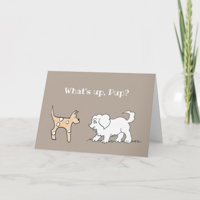 get well card with puppies (Front)