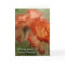 Get Well Card with Roses
