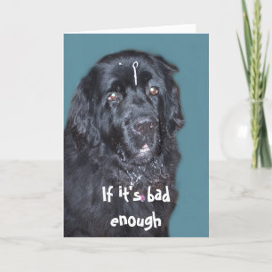 Get Well~ Carte de chien de Terre-Neuve