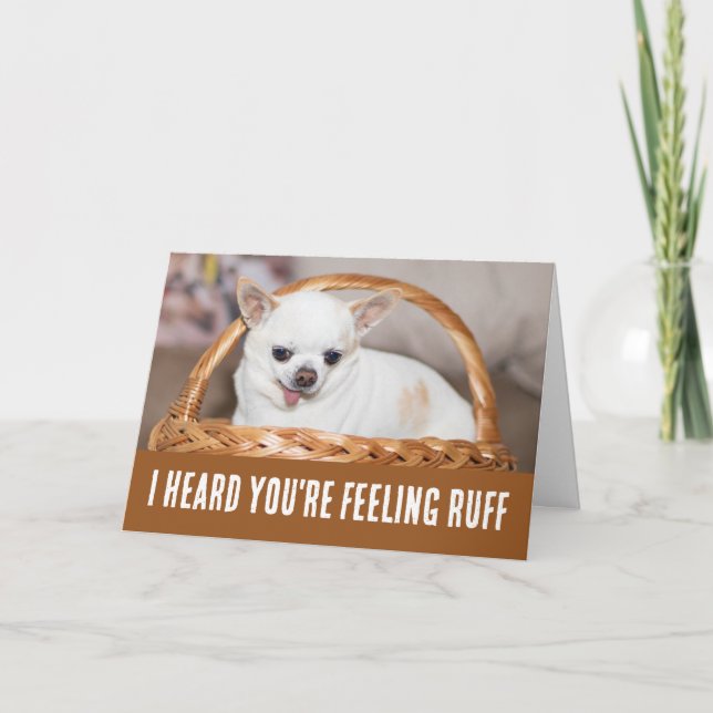 Get well cute dog chihuahua feeling ruff card (Front)