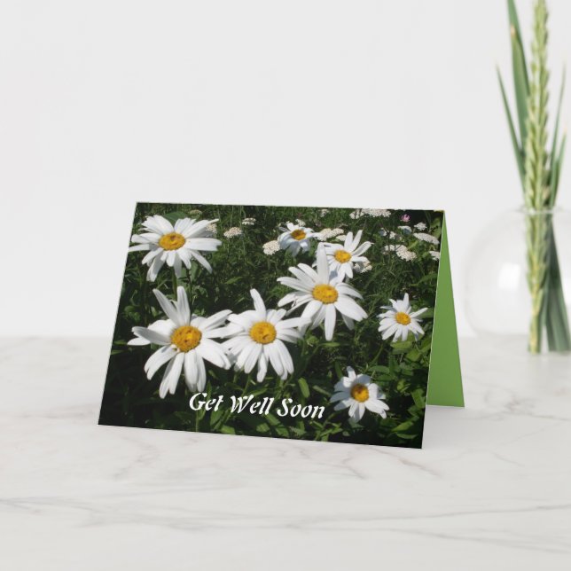 Get Well Daisies Card (Front)