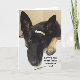 Get Well - Feeling So Doggone Bad Card
