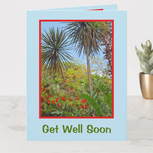 GET WELL FROM GROUP/OFFICE/CUSTOMIZABLE CARD (Small Plant)