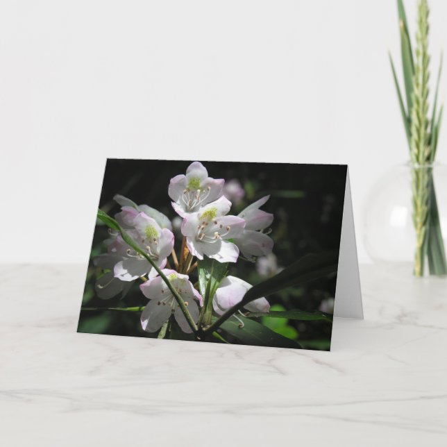 Get Well Greeting Card (Front)