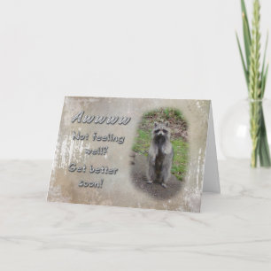 Get Well Greeting Card - Raccoon Feel Better Soon