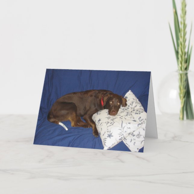 Get Well Jake Card (Front)