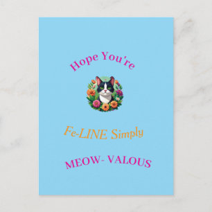 Get Well Post card- Cat lover's Postcard