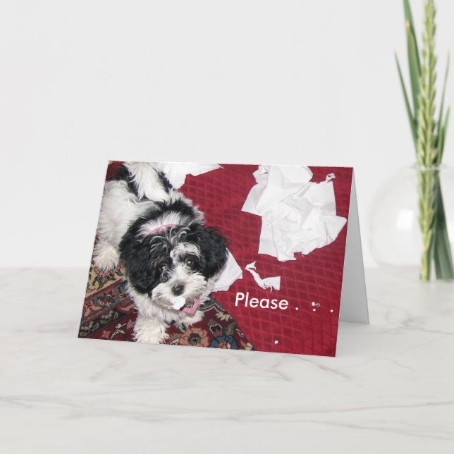 Get Well Puppy  . Card (Front)