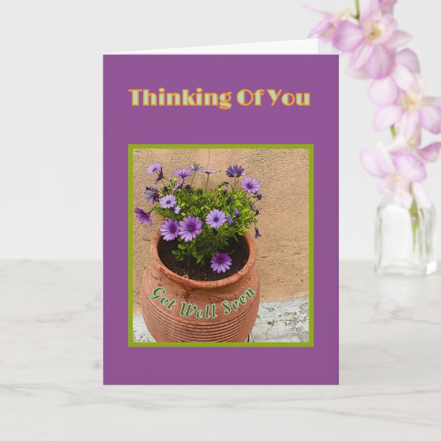 GET WELL/ PURPLE DAISIES IN TERRACOTTA POT CARD (Orchid)