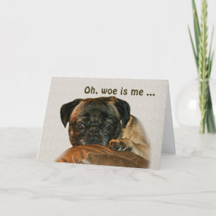 Get Well, Sad Pug Dog Card