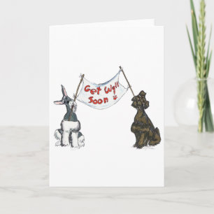 Get  Well Schnauzers Card