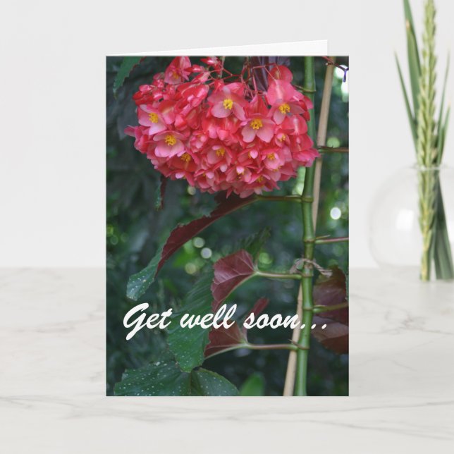 Get well soon and back to full bloom floral card (Front)
