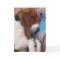 Get Well Soon Basset Hound Card