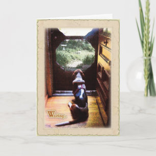 Get well soon  -Basset Hound Card