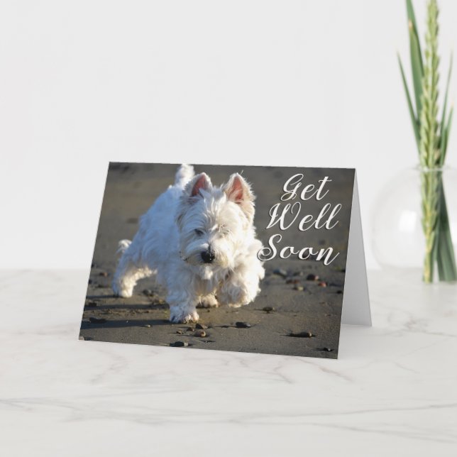 Get Well Soon Beachcombing Westie Photo Card (Front)
