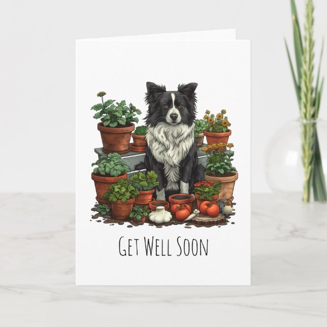 Get Well Soon Border Collie Gardening Card (Front)