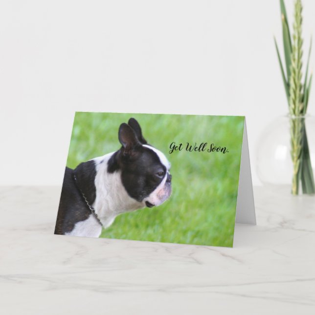 Get Well Soon Boston Terrier greeting card (Front)
