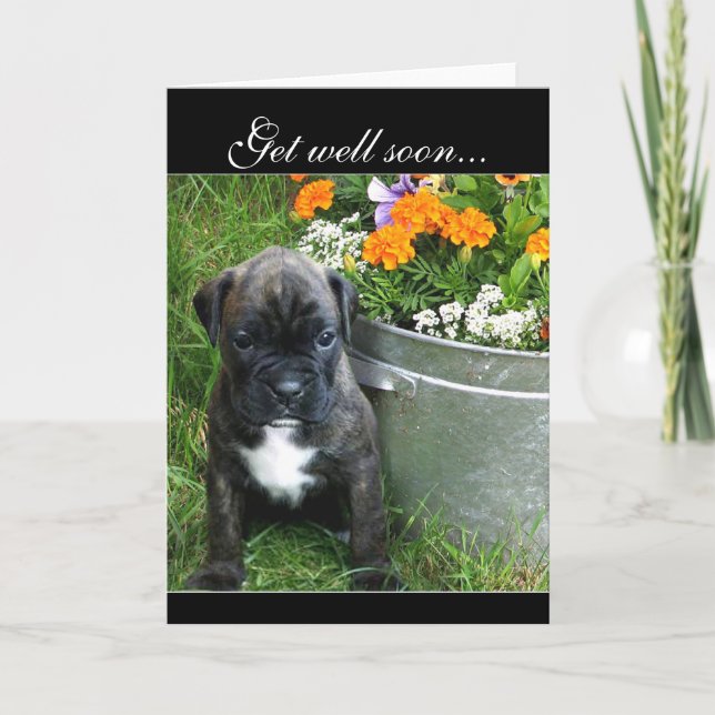 Get well soon Boxer puppy greeting card (Front)