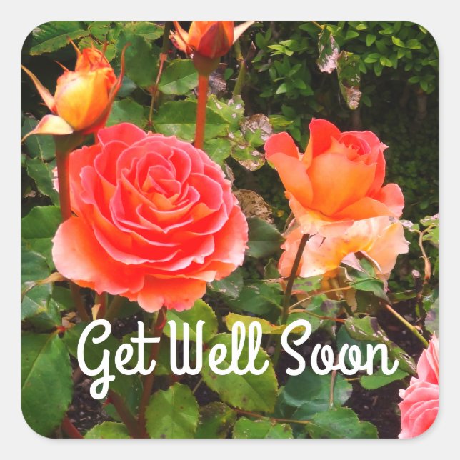 Get Well Soon Brass Band Rose #1-1 Stickers (Front)