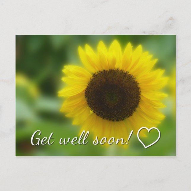 Get well soon: Bright and cheerful sunflower Postcard (Front)