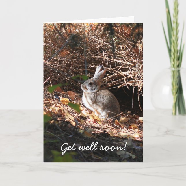 Get Well Soon Bunny Rabbit Greeting Card (Front)