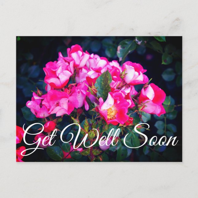 Get Well Soon Carefree Spirit Rose #1 Postcard (Front)