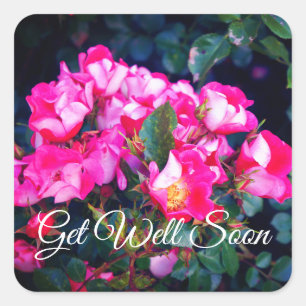 Get Well Soon Carefree Spirit Rose #1 Stickers